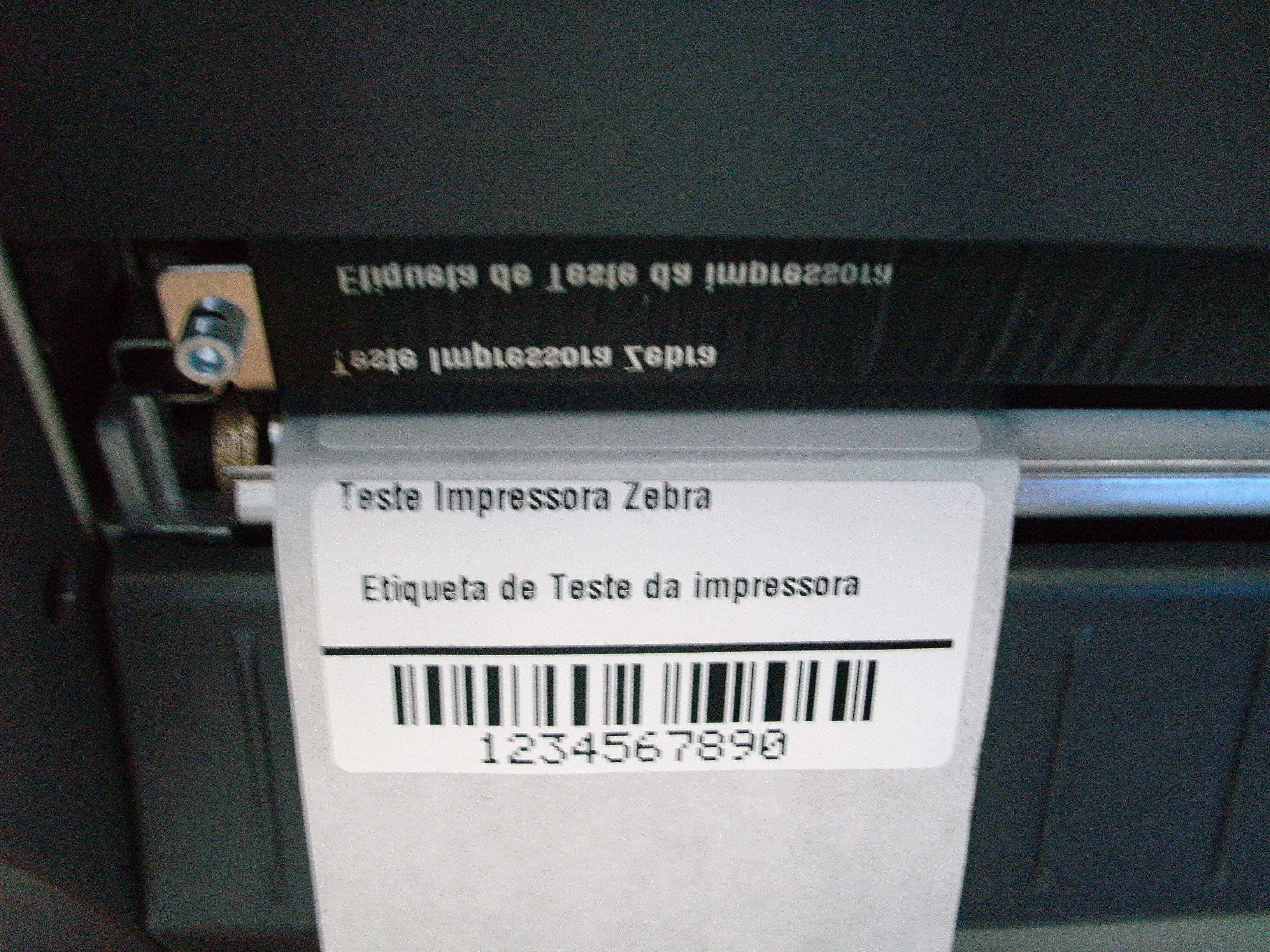 ../_images/Exemplo_IMPZEBRA_05.jpg