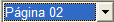 ../_images/sel_page.png